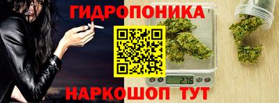 a pvp Аргун