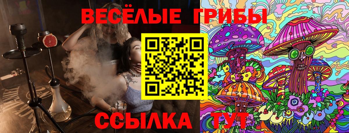 НБОМе Барнаул